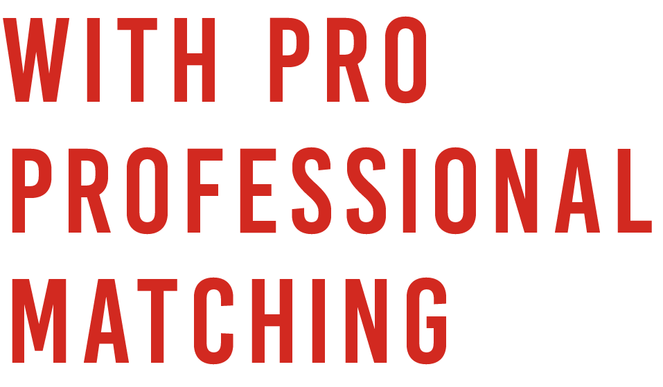 RYODEN PROFESSIONAL MATCHING